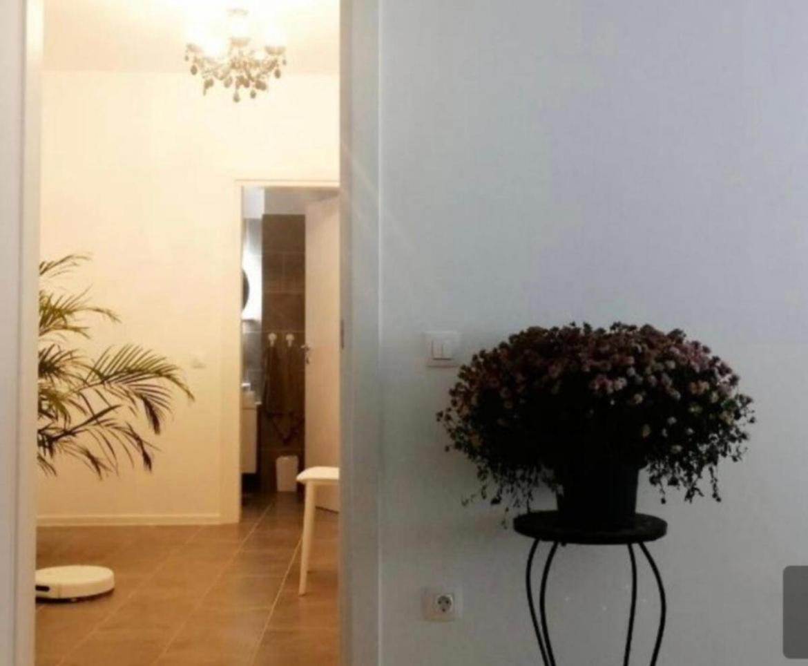 Atria Urban Resort Bükreş Dış mekan fotoğraf